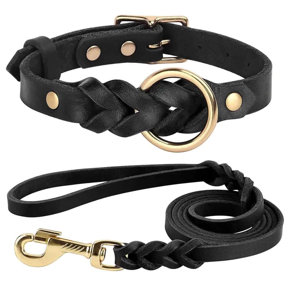 100% leather - Collar and leash set for dogs