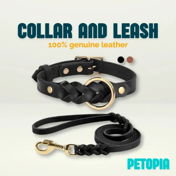 100% leather - Collar and leash set for dogs