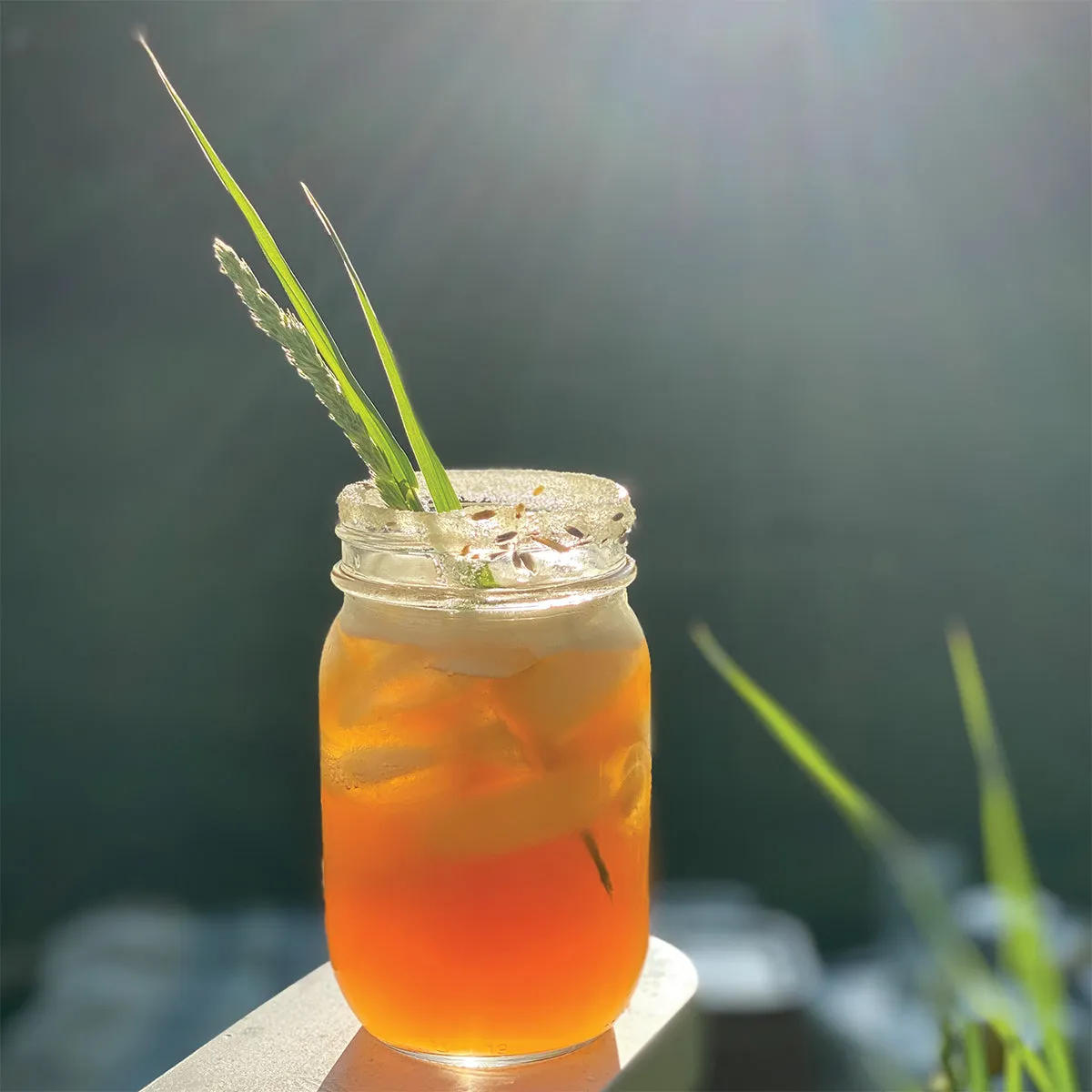 1pt Occasion Pack ~ Backyard BBQ