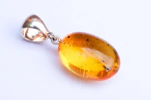 Baltic Amber Pendant with Fossil Insect Oval Yellow Natural Inclusions 1.55" 26.2 gram