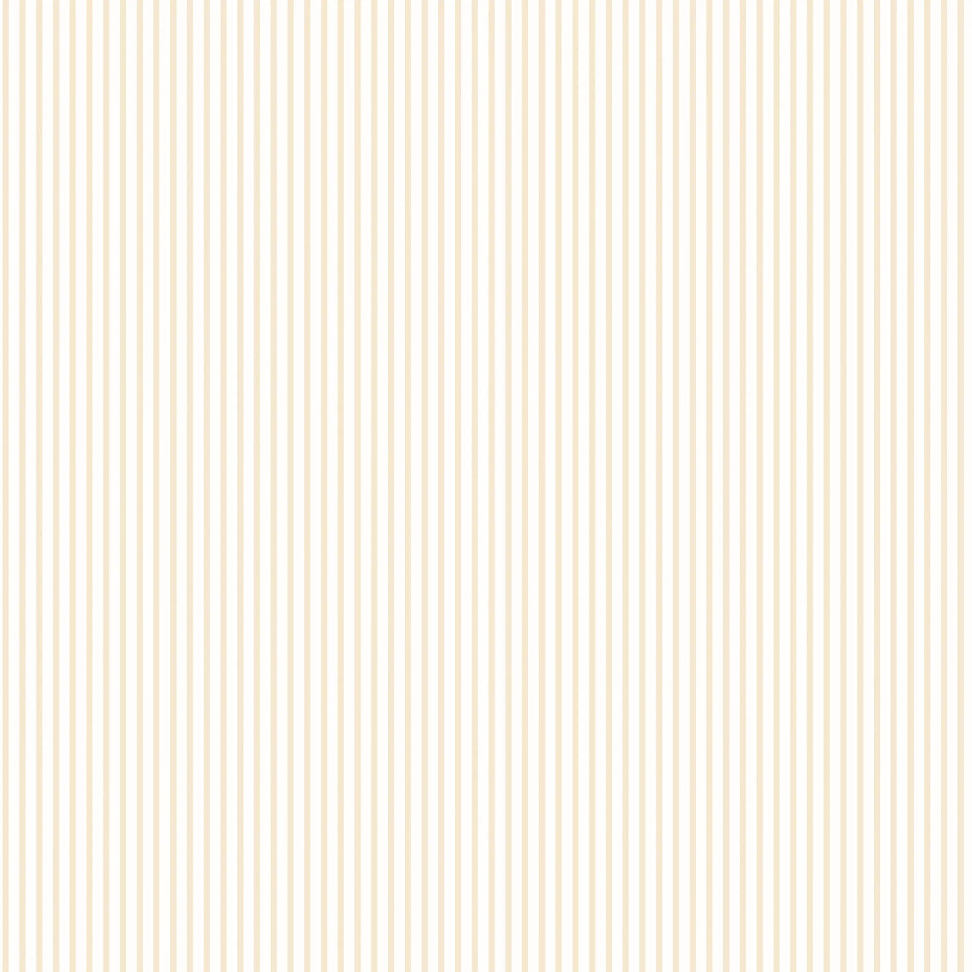 Candy Stripe Beige Wallpaper from the Small Prints Collection