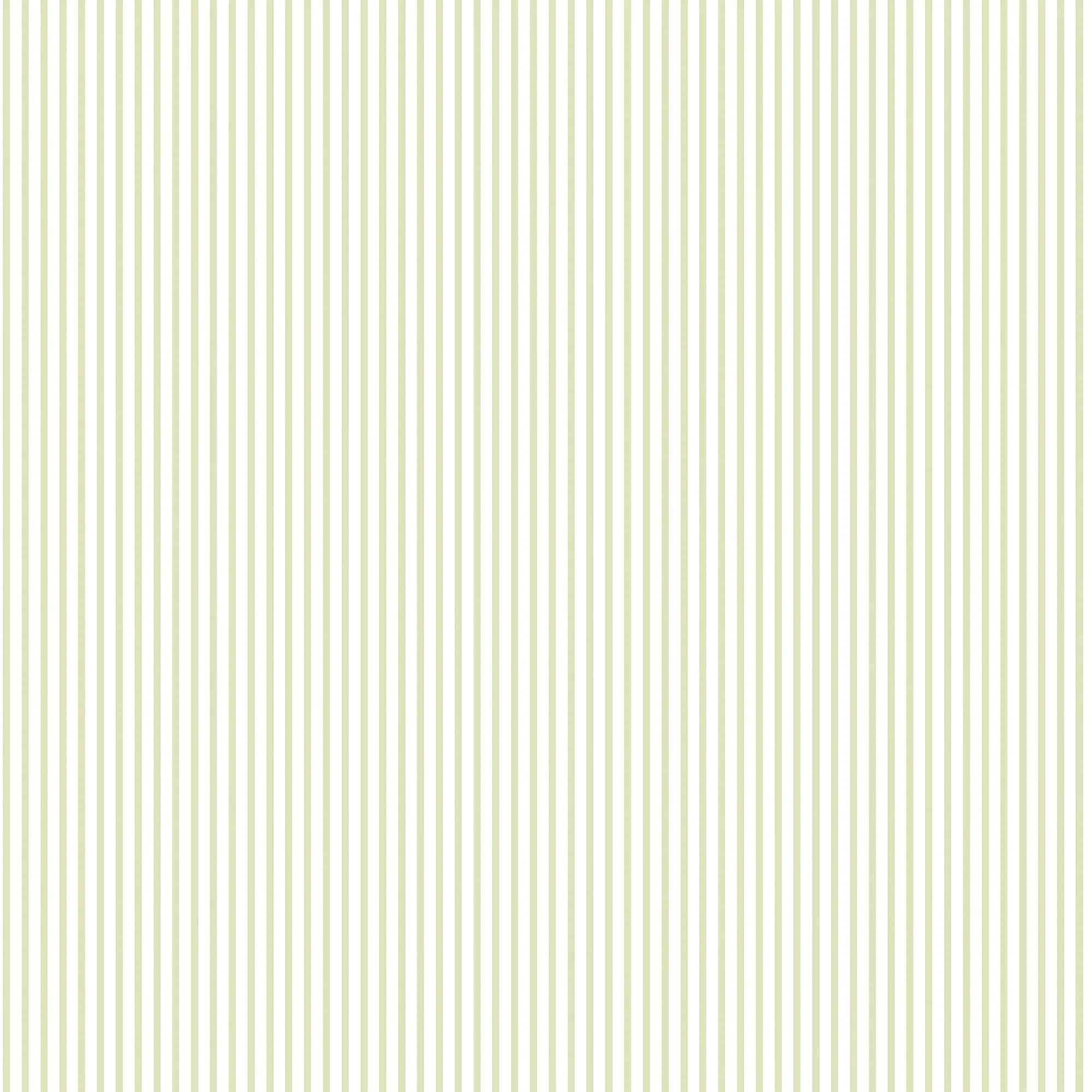 Candy Stripe Sage Wallpaper from the Small Prints Collection