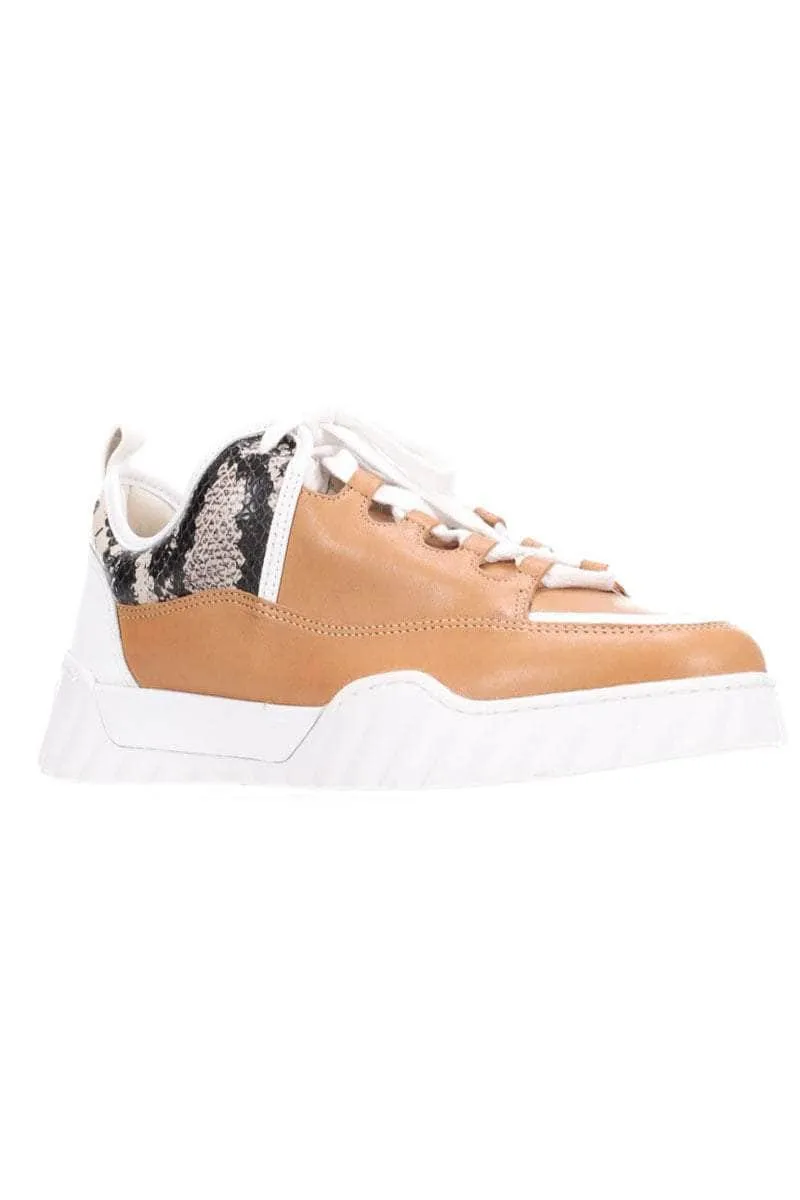 Carla Sneaker Tan/White