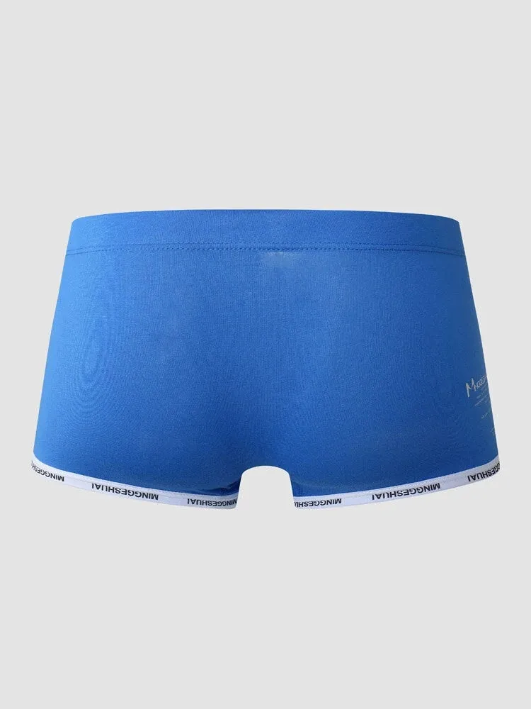 Mens Letter Trim Applique Cotton Trunks