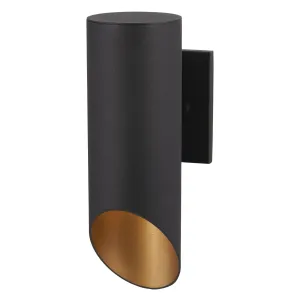 Pineview Slope 13 in. Outdoor Wall Sconce Black & Gold Finish