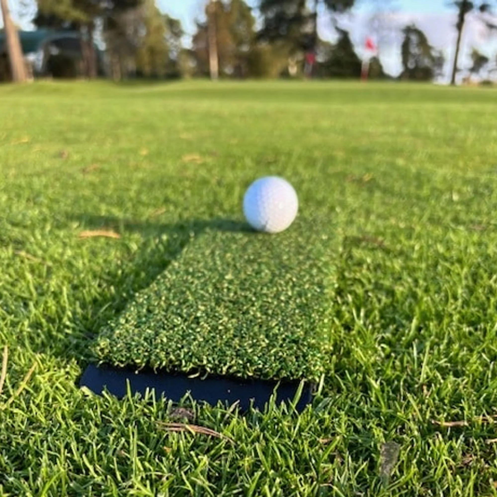 Short Pile Grass Golf Mat